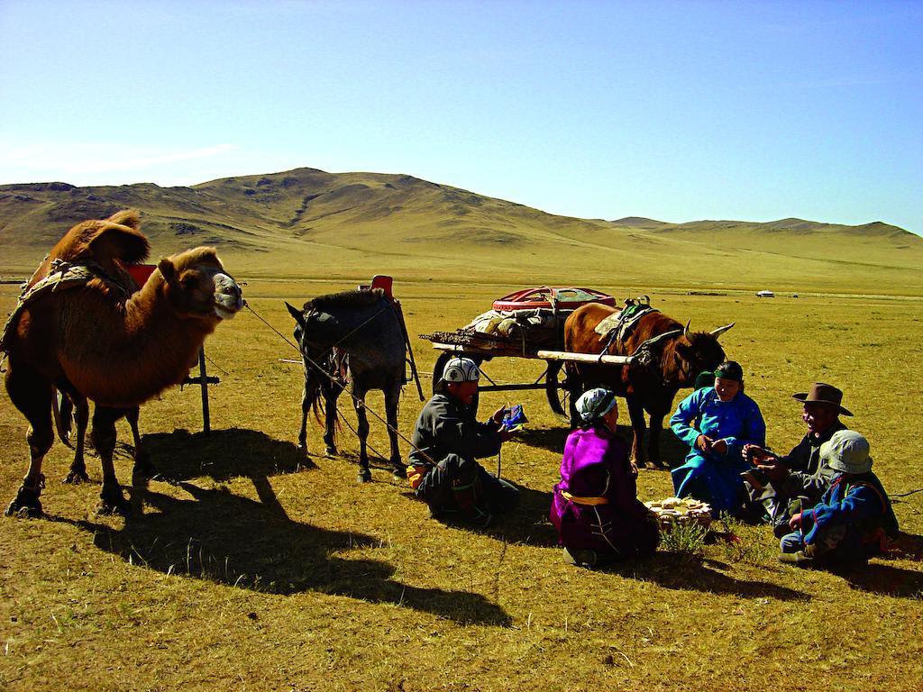 Steppe Nomads Eco Resort At Gungaluut 乌兰巴托 外观 照片